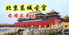 女人妣免费视频专区中国北京-东城古宫旅游风景区